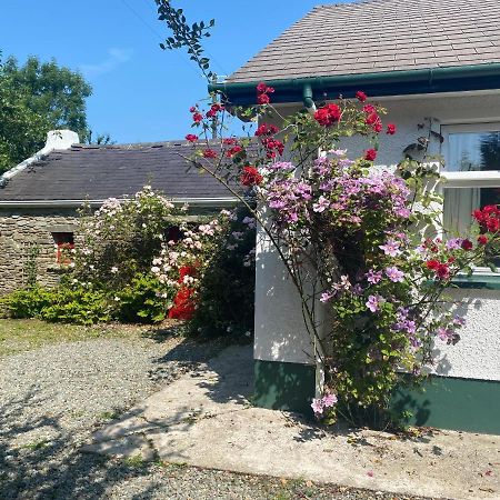 Hawthorn Cottage Greencastle  Esterno foto