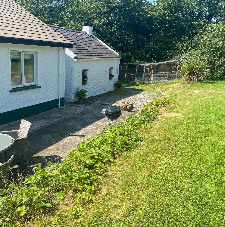 Hawthorn Cottage Greencastle  Esterno foto